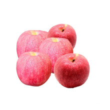 2021 new Fresh fruits red fuji apples royal gala price in China for export